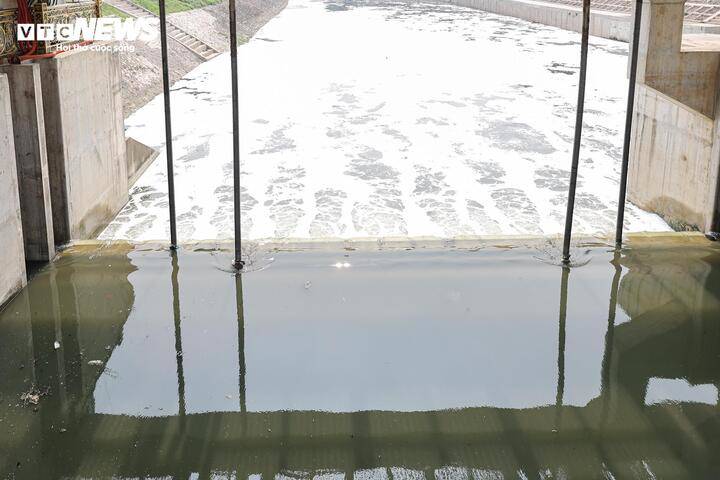 Sau 6 tháng hồi sinh, dòng 'sông chết' ở Hà Nội thay đổi ra sao? - 8