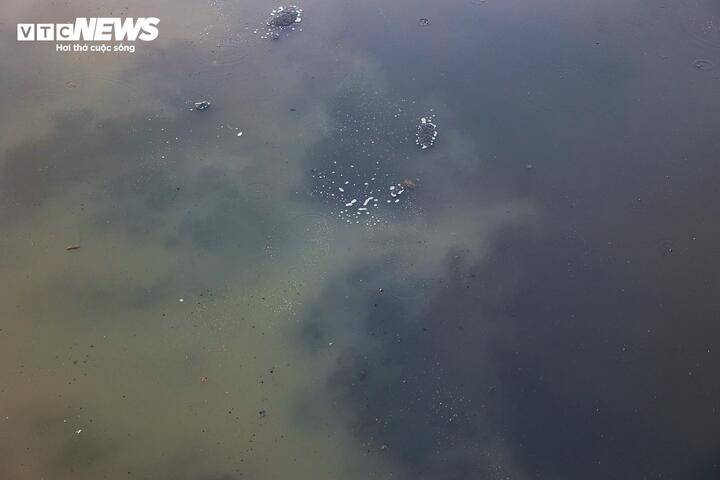 Sau 6 tháng hồi sinh, dòng 'sông chết' ở Hà Nội thay đổi ra sao? - 13