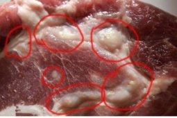 Thịt lợn nhiễm bệnh thường có dấu hiệu này, rẻ mấy cũng không nên mua