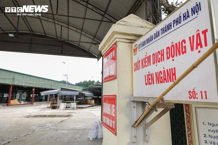 Cận cảnh lò mổ tuồn gần 300 tấn lợn bệnh vào trường học, chợ đầu mối ở Hà Nội - 7