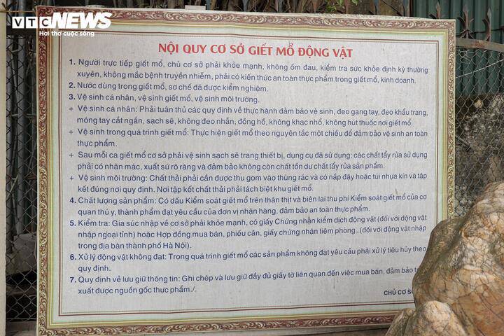 Cận cảnh lò mổ tuồn gần 300 tấn lợn bệnh vào trường học, chợ đầu mối ở Hà Nội - 8