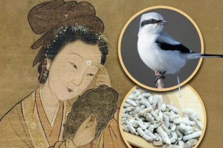 Vì sao Từ Hi Thái hậu sử dụng phân động vật để làm đẹp?