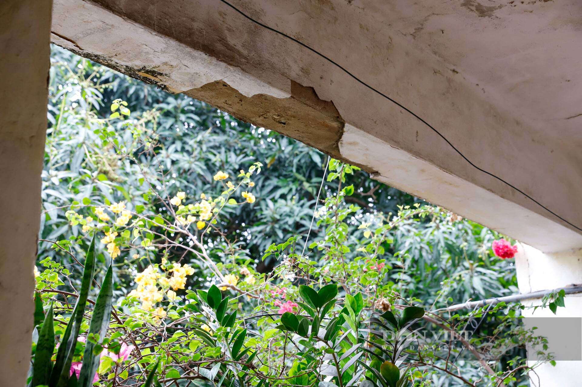 Tại các hành lang chung, trần bê tông bong tróc từng mảng vữa lớn, làm lộ rõ phần cốt thép hoen gỉ bên trong, luôn chực chờ rơi xuống và gây nguy hiểm cho người qua lại.