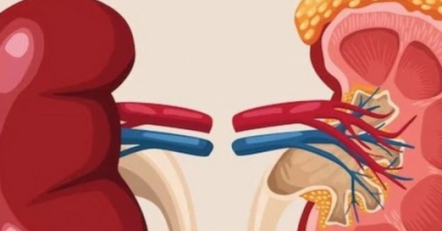 6 loại quả đang bán đầy chợ Việt, người bệnh suy thận nên ăn để kiểm soát bệnh, ngăn ngừa biến chứng