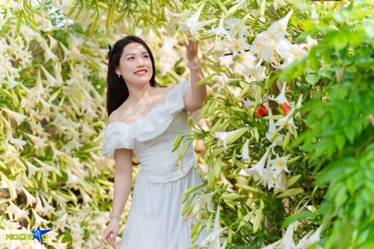 Con đường hoa loa kèn trong nông trại 16.000 m2 hút khách check-in - 3