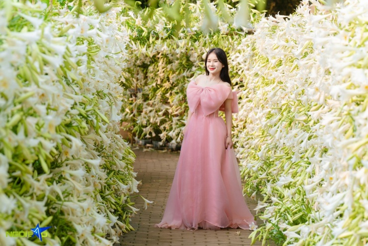 Con đường hoa loa kèn trong nông trại 16.000 m2 hút khách check-in - 5