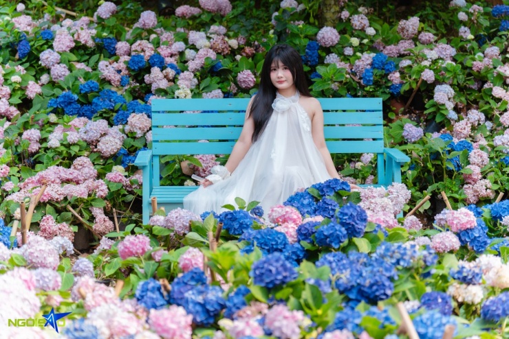 Con đường hoa loa kèn trong nông trại 16.000 m2 hút khách check-in - 9