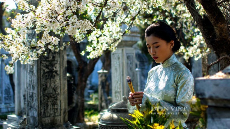 Thanh minh 2026 sắp đến là một dịp để chúng ta nhớ về nguồn gốc và cội rễ của mình.