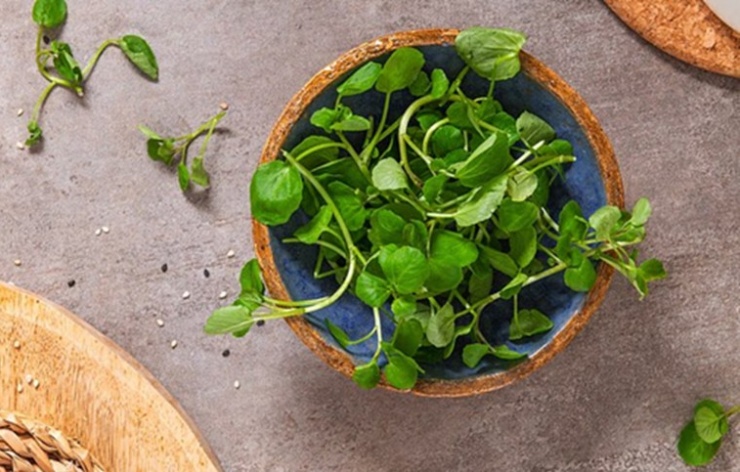 Loại rau "tốt nhất thế giới", giàu chất chống oxy, giảm cholesterol xấu được chuyên gia dinh dưỡng công nhận - 1