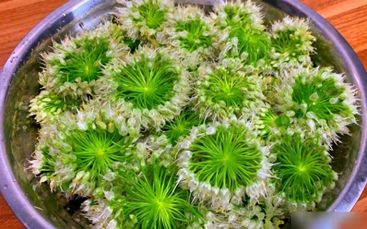 Loại rau tươi đẹp này có hương vị tươi mát và thơm lừng