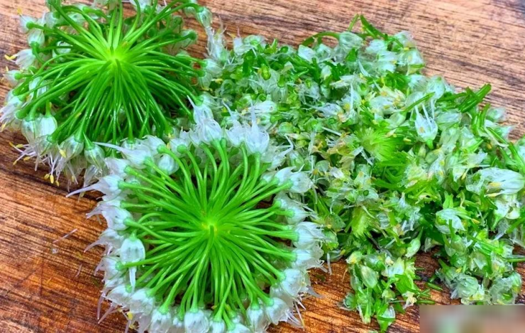 Loại rau nhiều người biết, ít người ăn, đừng chỉ ăn lá, hoa cũng cực tươi ngon, mềm mại, thơm phức - 4