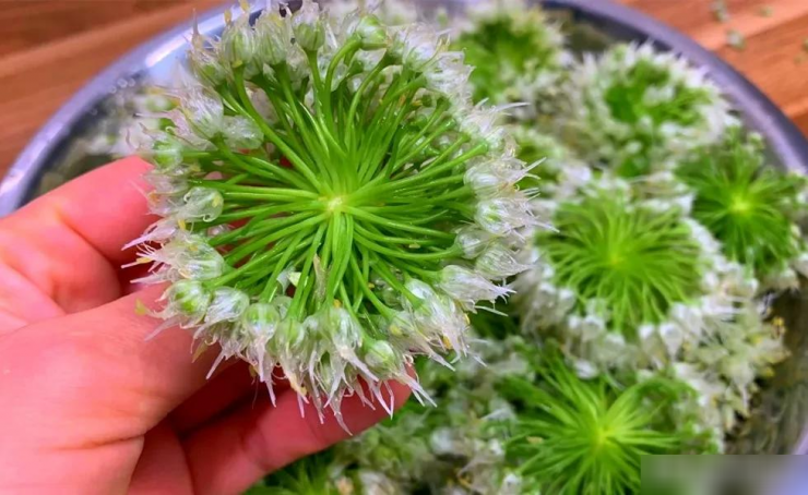 Loại rau nhiều người biết, ít người ăn, đừng chỉ ăn lá, hoa cũng cực tươi ngon, mềm mại, thơm phức - 9