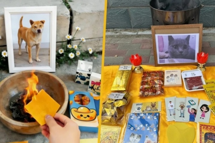 Đám tang xa xỉ cho thú cưng: Nghi lễ long trọng, đốt vàng mã có cả người hầu