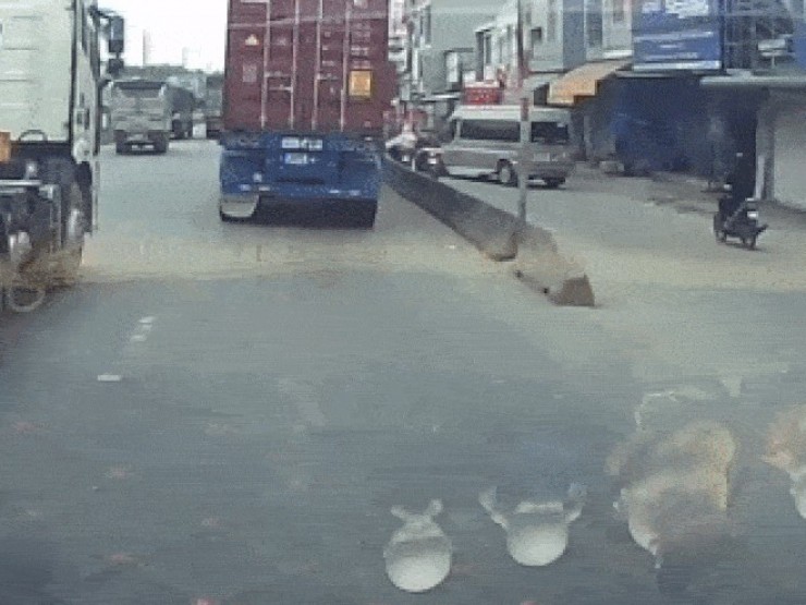 Đã có kết quả điều tra vụ tai nạn 'không va chạm' gây xôn xao mạng xã hội