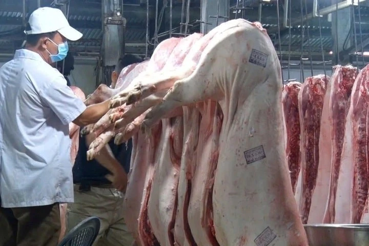 Lực lượng chức năng làm công tác kiểm dịch (ảnh minh họa)