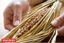 Tin tức sức khỏe - “Tái sinh” khớp gối với 2 món ăn được người xưa truyền tai như bài thuốc bổ dưỡng phục hồi xương khớp