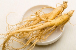 Nhân sâm “nóng” hay “lạnh”? Hiểu lầm phổ biến của người Việt về loại dược liệu nổi tiếng này