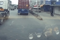 Đã có kết quả điều tra vụ tai nạn 'không va chạm' gây xôn xao mạng xã hội