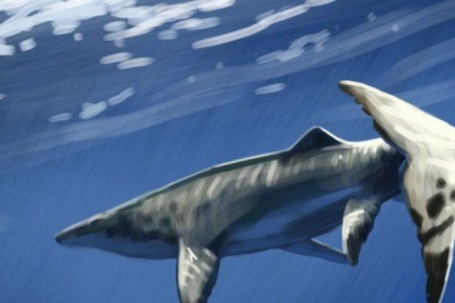 Thủy quái dài 9 mét xuất hiện giữa mỏ phốt phát