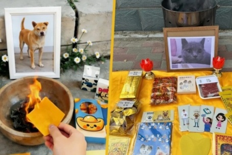 Đám tang xa xỉ cho thú cưng: Nghi lễ long trọng, đốt vàng mã có cả người hầu