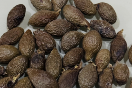 Loại hạt dân dã, ít người biết, giúp thanh nhiệt, giải độc, làm món này giải khát mùa hè cực đỉnh