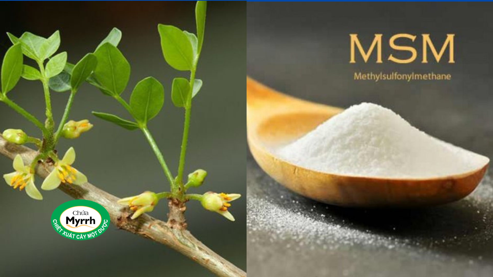 “Bữa sáng quốc dân” quen thuộc nhưng có thể âm thầm tàn phá xương khớp nếu ăn không đúng cách - 4