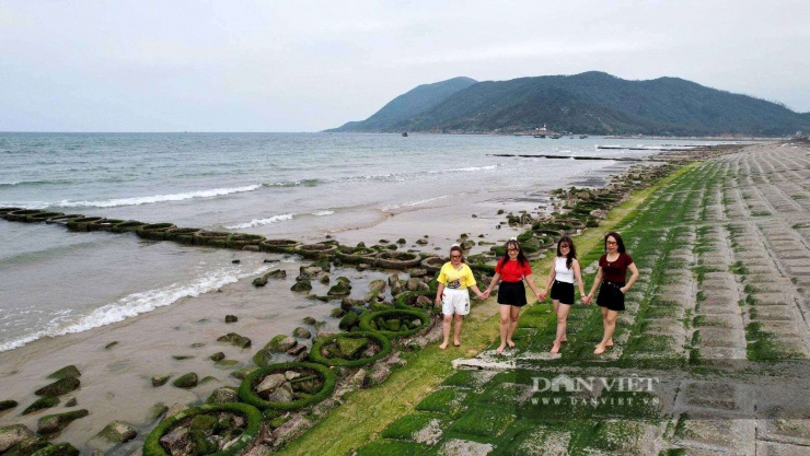 Với sắc xanh lạ mắt, bờ kè phủ rêu trở thành điểm check-in độc đáo, mang đến cho du khách những khung hình ấn tượng, cuốn hút.