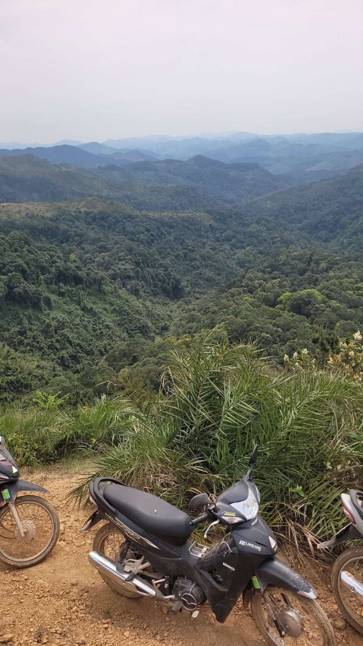 Khu vực rừng mà nam du khách nước ngoài đi lạc. (Ảnh: FBNV)