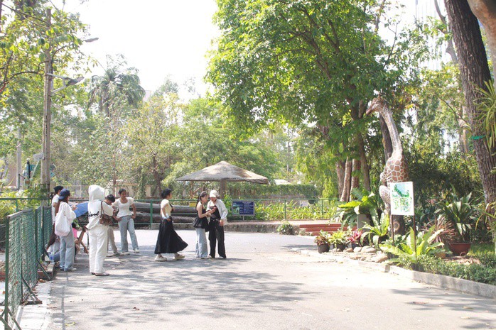 Khu vực tượng hươu cao cổ trở thành điểm thu hút đông bạn trẻ.