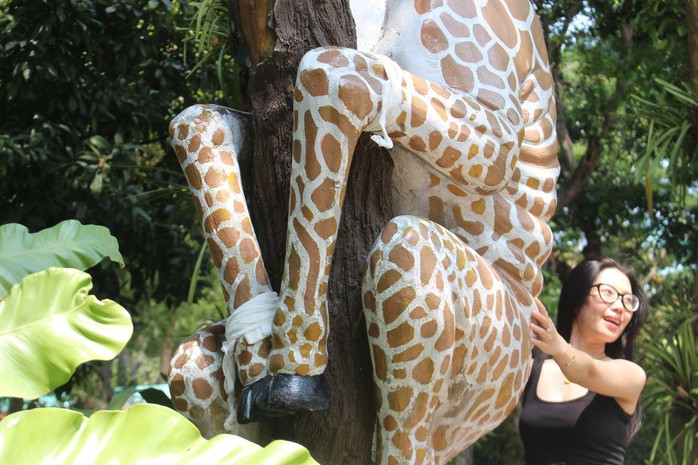 Hình ảnh tượng hươu cao cổ được băng bó tạm thời tại Thảo Cầm Viên Sài Gòn nhận được nhiều sự quan tâm.