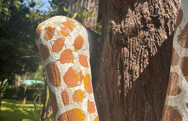 Trào lưu leo tượng chụp ảnh sống ảo: Thảo Cầm Viên Sài Gòn lên tiếng - 4