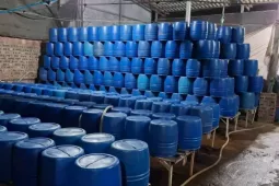 Dùng chất độc có thể gây chết người để sản xuất hơn 500 tấn giá đỗ