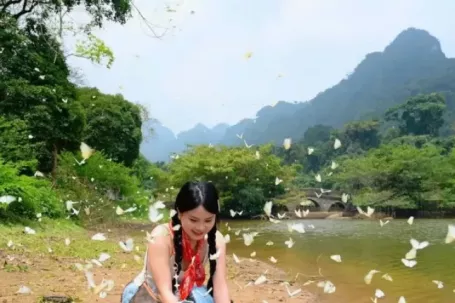 Đặc biệt mùa bướm Cúc Phương