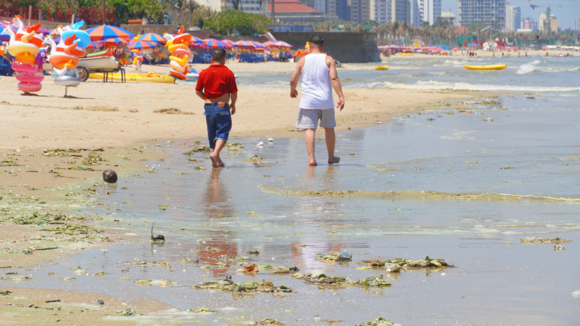 Một nhóm du khách đến từ Tây Ninh cho biết khá thất vọng khi gặp tình trạng này. "Chúng tôi xuống Vũng Tàu để tắm biển nhưng thấy nước màu xanh như màu của matcha nên cũng lo, không dám xuống" - một du khách chia sẻ.