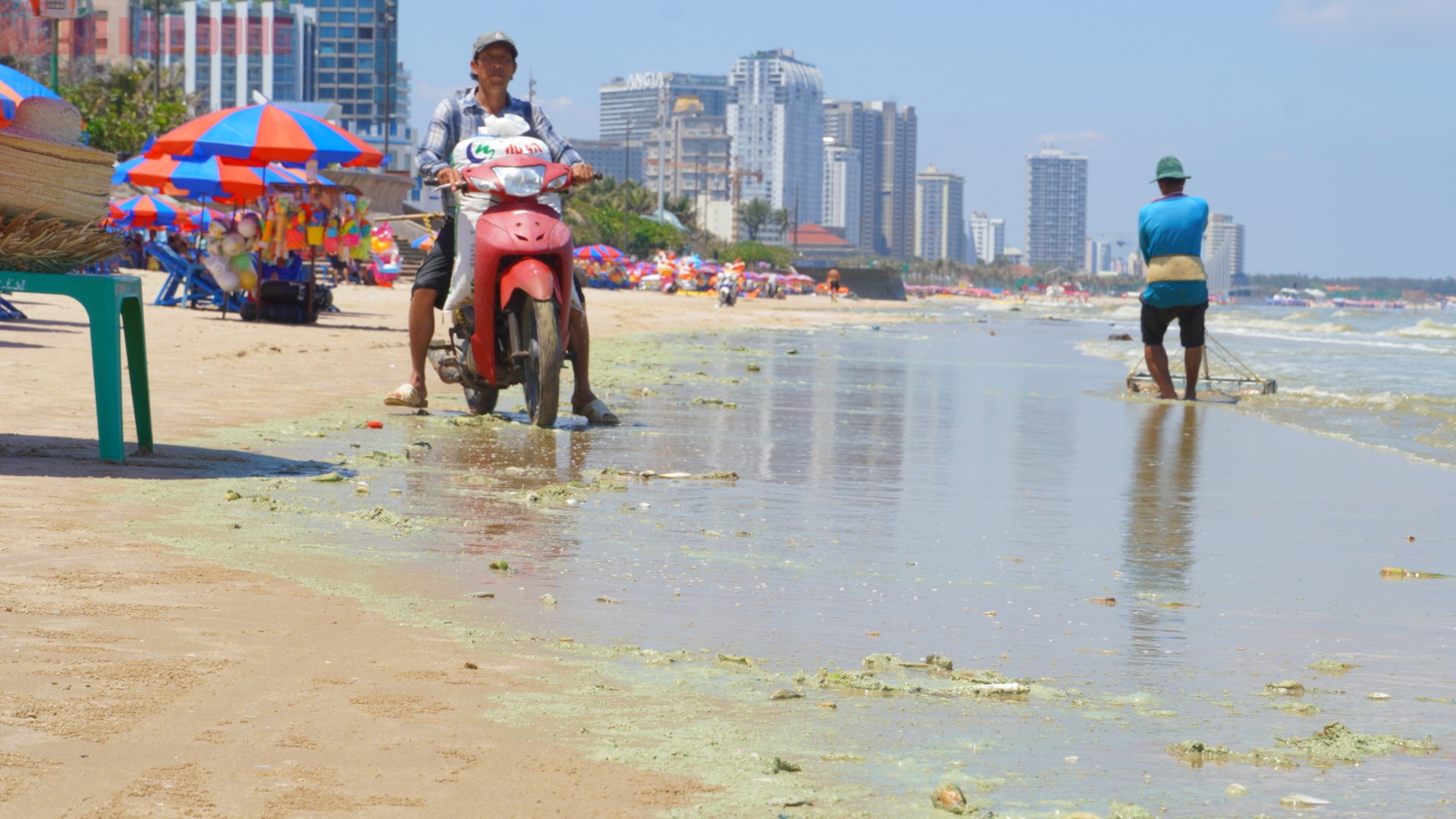 Giải thích thêm về tình trạng cá xuất hiện dạt vào bờ, người này cho biết đây chủ yếu là cá nhỏ do ngư dân đánh bắt nhưng không thu gom hết, bị sóng cuốn vào khu vực gần bờ, không phải hiện tượng cá chết hàng loạt bất thường.