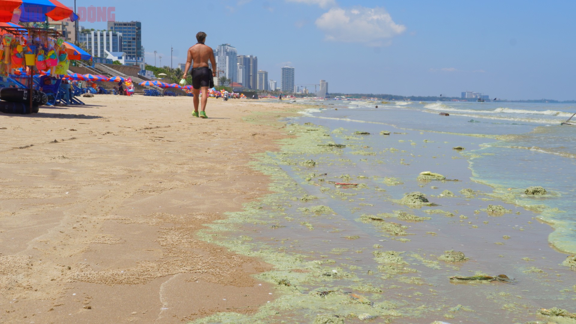 Theo ghi nhận của phóng viên, tình trạng cá chết chỉ xuất hiện cục bộ tại một số khu vực, không xảy ra trên diện rộng. Ở nhiều đoạn bãi biển khác, không ghi nhận hiện tượng cá chết, tuy nhiên màu nước xanh đục bất thường vẫn xuất hiện khá rõ.