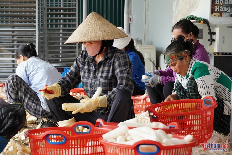 Nông sản thu mua từ bà con được sơ chế trước sấy khô. Ảnh: T.T