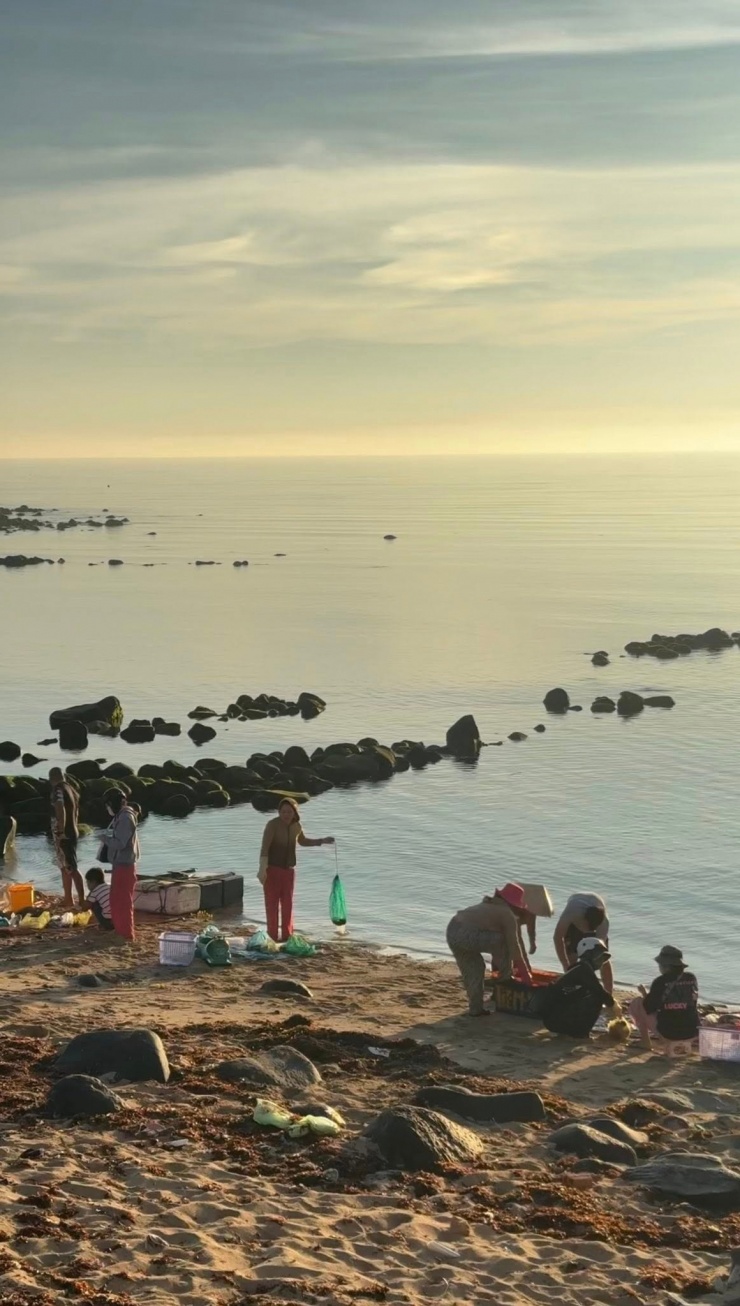 Đảo Phú Quý. Video: catphuquy