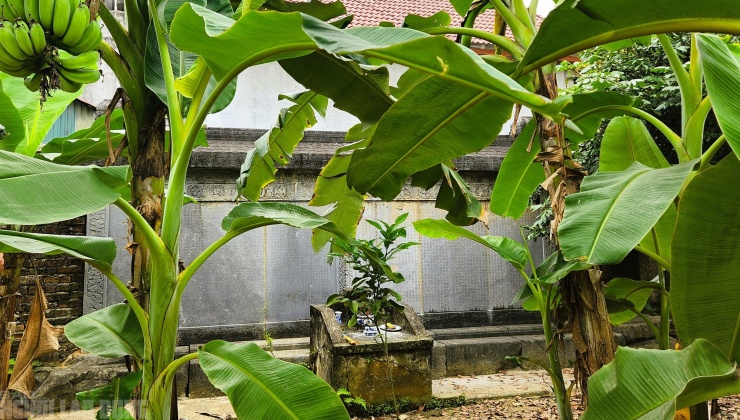 Bên trong vườn nhìn ra tấm bia cổ mà xót xa cho một di tích có giá trị lớn về mặt lịch sử