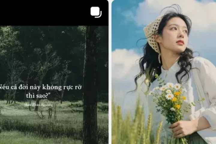 Lỡ cả đời này không rực rỡ thì sao?