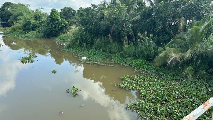 Đoạn kênh được cho là xuất hiện cá sấu