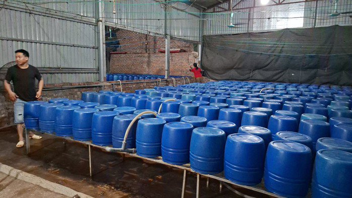 Mỗi ngày cơ sở này cung cấp ra thị trường hàng tấn giá đỗ có chất độc hại. Ảnh: CACC