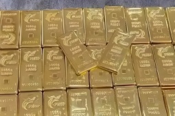 Một tuần 'bay' 11,5 tỷ: Nhà đầu tư vàng trắng tay, trả giá suốt 8 năm