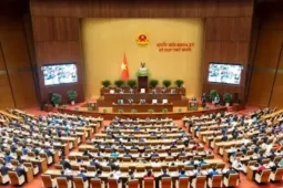 Quốc hội họp phiên trù bị, bầu Trưởng đoàn và Phó Trưởng đoàn