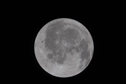 Ảnh cận cảnh Mặt Trăng đầu tiên chụp từ Artemis II