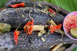 Từ loài cá bị "ruồng bỏ" vì vẻ ngoài xấu xí, loài cá này trở thành đặc sản hấp dẫn, mang đậm hương vị đồng quê