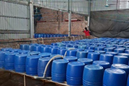 Cận cảnh bên trong cơ sở sản xuất hơn 500 tấn giá đỗ có sử dụng chất độc hại