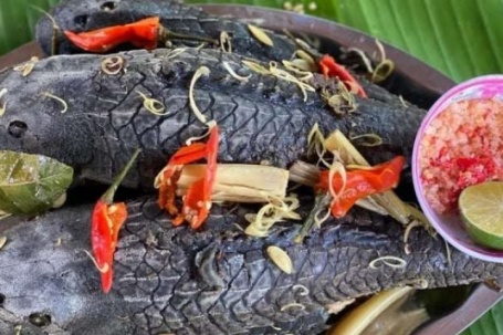 Từ loài cá bị "ruồng bỏ" vì vẻ ngoài xấu xí, loài cá này trở thành đặc sản hấp dẫn, mang đậm hương vị đồng quê