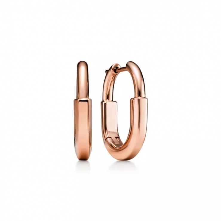 Ngoài ra, cô sử dụng khuyên tai Tiffany Lock Small Earrings bằng vàng hồng, giá khoảng 102 triệu đồng, đồng điệu với dây chuyền. Tổng giá trị trang sức cô sử dụng trong set đồ này gần 300 triệu đồng.