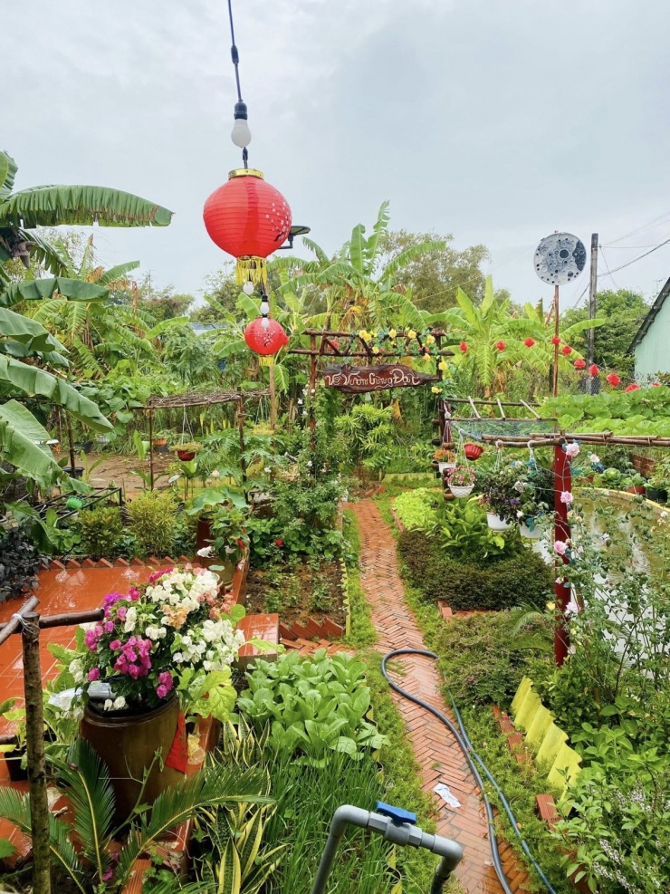 Chàng trai Vĩnh Long chi hơn 100 triệu biến đất hoang thành khu vườn 4 mùa xanh mát - 2